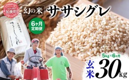 【ふるさと納税】《 先行予約 》 【 6回 定期便 】ササシグレ 玄米 5kg × 6回 （ 合計 30kg ）