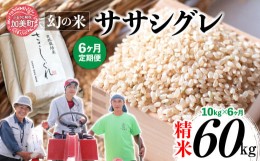 【ふるさと納税】《 先行予約 》 【 6回 定期便 】ササシグレ 玄米 10kg × 6回（ 合計 60kg ）