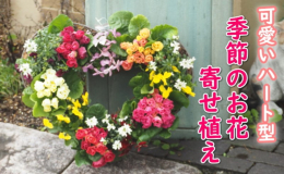 寄せ 植え リースの通販｜au PAY マーケット