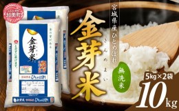 【ふるさと納税】【 9月中発送可】米 令和5年産 宮城県産 金芽米 ひとめぼれ 10kg （ 5kg × 2袋 ）無洗米  [ カメイ 宮城県 加美町] お