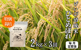 【ふるさと納税】【定期便/3ヵ月】令和6年産 新米 特別栽培 ひとめぼれ 2kg 清流が育んだお米 げいび清流米