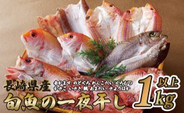 【ふるさと納税】A124p 長崎県産旬魚おまかせ一夜干しセット