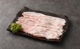 【ふるさと納税】【全3回定期便】長崎県産「競り美豚」 バラ 切り落とし 1.5kg 合計4.5kg (1.5kg×3回) ／ 競美豚 競り美豚 肉 豚肉 国産