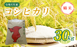 【ふるさと納税】T04501【新米】令和5年産コシヒカリ精米 30kg