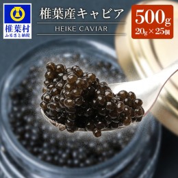 【ふるさと納税】【世界三大珍味×日本三大秘境】HEIKE CAVIAR 500g 【20g×25個】国産キャビア【産地直送】