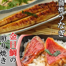 【ふるさと納税】金目鯛照焼きと厳選うなぎの蒲焼セット