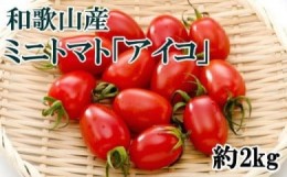 【ふるさと納税】【2025年1月出荷分】和歌山産ミニトマト「アイコトマト」約2kg（S・Mサイズおまかせ）※北海道、沖縄、離島への配送不可