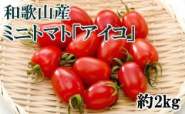 【ふるさと納税】【2025年2月出荷分】和歌山産ミニトマト「アイコトマト」約2kg（S・Mサイズおまかせ）※北海道、沖縄、離島への配送不可