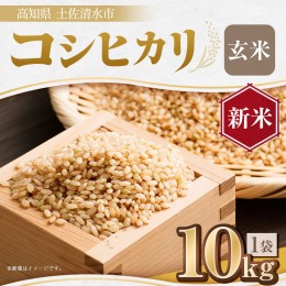 【ふるさと納税】令和6年産新米コシヒカリ玄米10kg（１袋）【先行予約/令和6年8月発送予定】お米 健康食品【R00325】