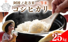 【ふるさと納税】【 単品 25kg 】コシヒカリ 令和6年産 阿波ノ北方米 1等 米 こめ ご飯 ごはん おにぎり 白米 精米 新米 卵かけご飯 食品