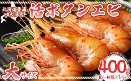 【ふるさと納税】活ボタンエビ 大サイズ 400g（10〜14尾）×1パック 北海道 噴火湾産 【 ふるさと納税 人気 おすすめ ランキング 魚介類 