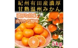 【ふるさと納税】紀州有田産濃厚甘熟温州みかん5kg ※2024年11月下旬〜2025年1月下旬頃に順次発送予定