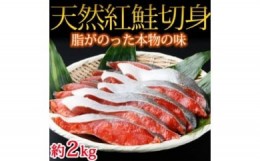 【ふるさと納税】和歌山魚鶴仕込の天然紅サケ切身 約2kg◇