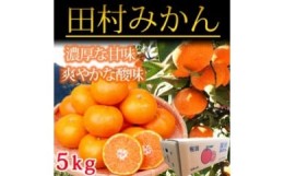 【ふるさと納税】高級ブランド田村みかん　５kg ※2024年11月下旬〜2025年1月下旬頃に順次発送予定