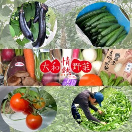 【ふるさと納税】大和情熱野菜の玉手箱 / 季節の野菜 旬の野菜セット