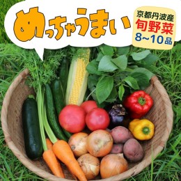 【ふるさと納税】＜３６９商店＞京都丹波産旬の野菜セット　※全て栽培期間中農薬・化学肥料不使用※