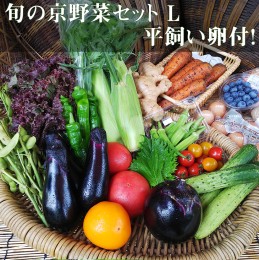 【ふるさと納税】《アスカ有機農園》旬の京野菜セットL（平飼い卵付）