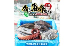 【ふるさと納税】【隔月6回定期便 / 下処理しない】特選 三陸海の恵み詰め合わせ(1回あたりのお届け目安：2〜3人用) 【 無添加 鮮魚 三陸