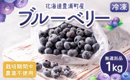 【ふるさと納税】栽培期間中農薬不使用冷凍ブルーベリー　無選別品　1kg 【ふるさと納税 人気 おすすめ ランキング 果物 ブルーベリー 冷