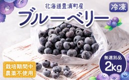 【ふるさと納税】栽培期間中農薬不使用冷凍ブルーベリー　無選別品　2kg 【ふるさと納税 人気 おすすめ ランキング 果物 ブルーベリー 冷