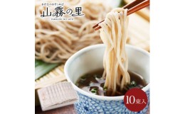 【ふるさと納税】渡辺製麺の信州そば 山霧の里乾麺10袋入 20人前 更科蕎麦1袋2人前(230g) 八ヶ岳よりお届け【1558457】