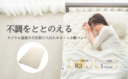 ホルミシスの通販｜au PAY マーケット