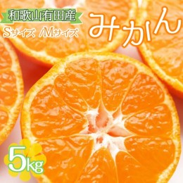 【ふるさと納税】【ご家庭用】和歌山有田みかん約5kg(S、Mサイズ)◇ | みかん 有田みかん 温州みかん ミカン 温州ミカン 柑橘 果物 フル