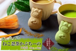 【ふるさと納税】〈京の老舗〉ねこ忍茶かぷちーの2箱セット（お湯やミルクをかけるとドロン）〈スイーツ 宇治抹茶 抹茶 お茶 茶 カプチー