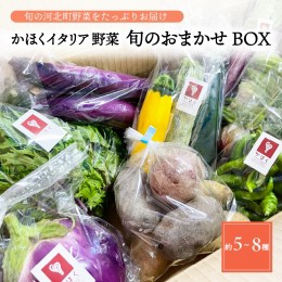 【ふるさと納税】かほくイタリア野菜旬のおまかせBOX（約5〜8種類） 野菜の説明&おしゃれな料理が簡単に作れちゃうレシピ付き♪