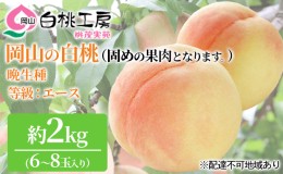 【ふるさと納税】固めの 桃 2024年 先行予約 白桃 晩生種 2kg 6〜8玉 もも モモ 岡山 国産 フルーツ 果物 ギフト 桃茂実苑 