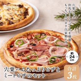 【ふるさと納税】J2　宍粟ハムたっぷりピザとミートピザのセット