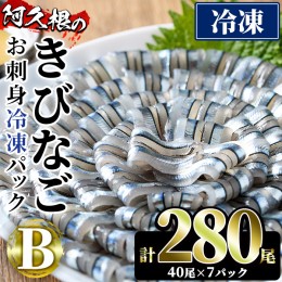 【ふるさと納税】鹿児島県産！阿久根のきびなごお刺身セット(計280尾) 冷凍でお届け！ 魚介類 海鮮 魚 きびなご キビナゴ 刺身 さしみ 刺