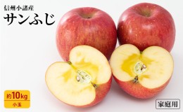 【ふるさと納税】信州小諸産 サンふじ りんご 家庭用 小玉 約10kg 長野県産 果物類 林檎 リンゴ