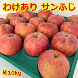 【ふるさと納税】【訳あり】りんご「サンふじ」28〜40玉（約10kg）【2025年1月中旬頃から順次発送開始・先行予約】