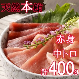 【ふるさと納税】厳選天然本マグロ中トロ 赤身 食べきり セット ４００ｇ 本まぐろ 100% 冷凍 刺身 海鮮 丼