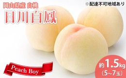 【ふるさと納税】桃 2024年 先行予約 日川白鳳（白桃）約1.5kg（5〜7玉） もも モモ 岡山県産 国産 フルーツ 果物 ギフト