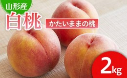 【ふるさと納税】硬い食感が人気！山形産パリパリの硬い桃 約2kg 【令和6年産先行予約】FU21-078