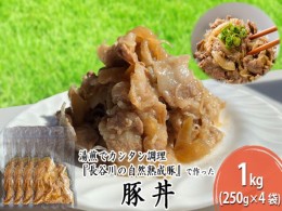 【ふるさと納税】豚丼　1kg（250g×4袋）【湯煎でカンタン調理『長谷川の自然熟成豚』で作った豚丼】肉