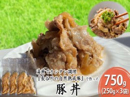 【ふるさと納税】豚丼　750g（250g×3袋）【湯煎でカンタン調理『長谷川の自然熟成豚』で作った豚丼】肉