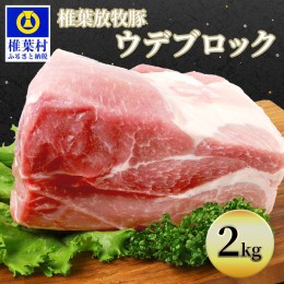 豚肉 2キロの通販 Au Pay マーケット