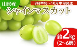 【ふるさと納税】山形市産 シャインマスカット 秀 2kg(2〜6房)[前半] 【令和6年産先行予約】FU22-712