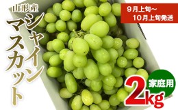 【ふるさと納税】【ご家庭用】シャインマスカット 2kg入り 1箱 [前半] 【令和6年産先行予約】FU19-485