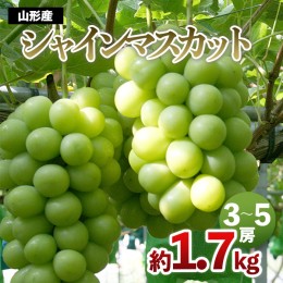 【ふるさと納税】山形産 シャインマスカット 約1.7kg(3〜5房) 【令和6年産先行予約】FU22-777