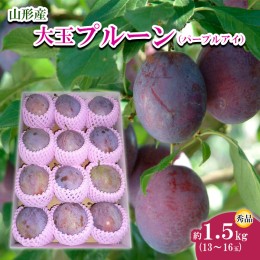 【ふるさと納税】山形市産 大玉プルーン(パープルアイ) 秀 約1.5kg(13〜16玉) 【令和6年産先行予約】FU22-758