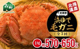 【ふるさと納税】『定期便』 【北海道産】 浜ゆで毛ガニ×1尾全3回＜道産ネットミツハシ＞ 毛ガニ 毛蟹 かに カニ ふるさと納税 北海道 m