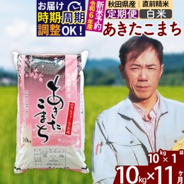 【ふるさと納税】※令和6年産 新米予約※《定期便11ヶ月》秋田県産 あきたこまち 10kg【白米】(10kg袋) 2024年産 お届け周期調整可能 隔