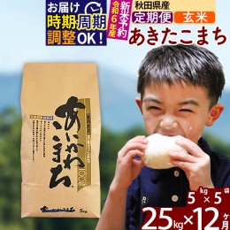 【ふるさと納税】※令和6年産 新米予約※《定期便12ヶ月》秋田県産 あきたこまち 25kg【玄米】(5kg小分け袋) 2024年産 お届け周期調整可