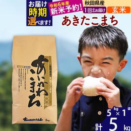 【ふるさと納税】※令和6年産 新米予約※秋田県産 あきたこまち 5kg【玄米】(5kg小分け袋)【1回のみお届け】2024産 お米 藤岡農産