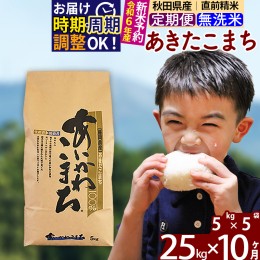 【ふるさと納税】※令和6年産 新米予約※《定期便10ヶ月》秋田県産 あきたこまち 25kg【無洗米】(5kg小分け袋) 2024年産 お届け周期調整