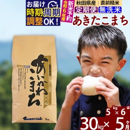 【ふるさと納税】※令和6年産 新米予約※《定期便5ヶ月》秋田県産 あきたこまち 30kg【無洗米】(5kg小分け袋) 2024年産 お届け周期調整可